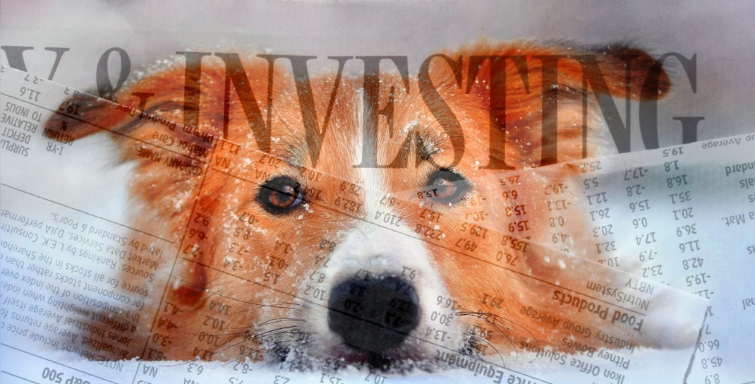 dogs of the dow dogs of the dow will these be the stocks of 2016 weiss education dogs of the dow dogs of the dow will these be the stocks of 2016 weiss education
