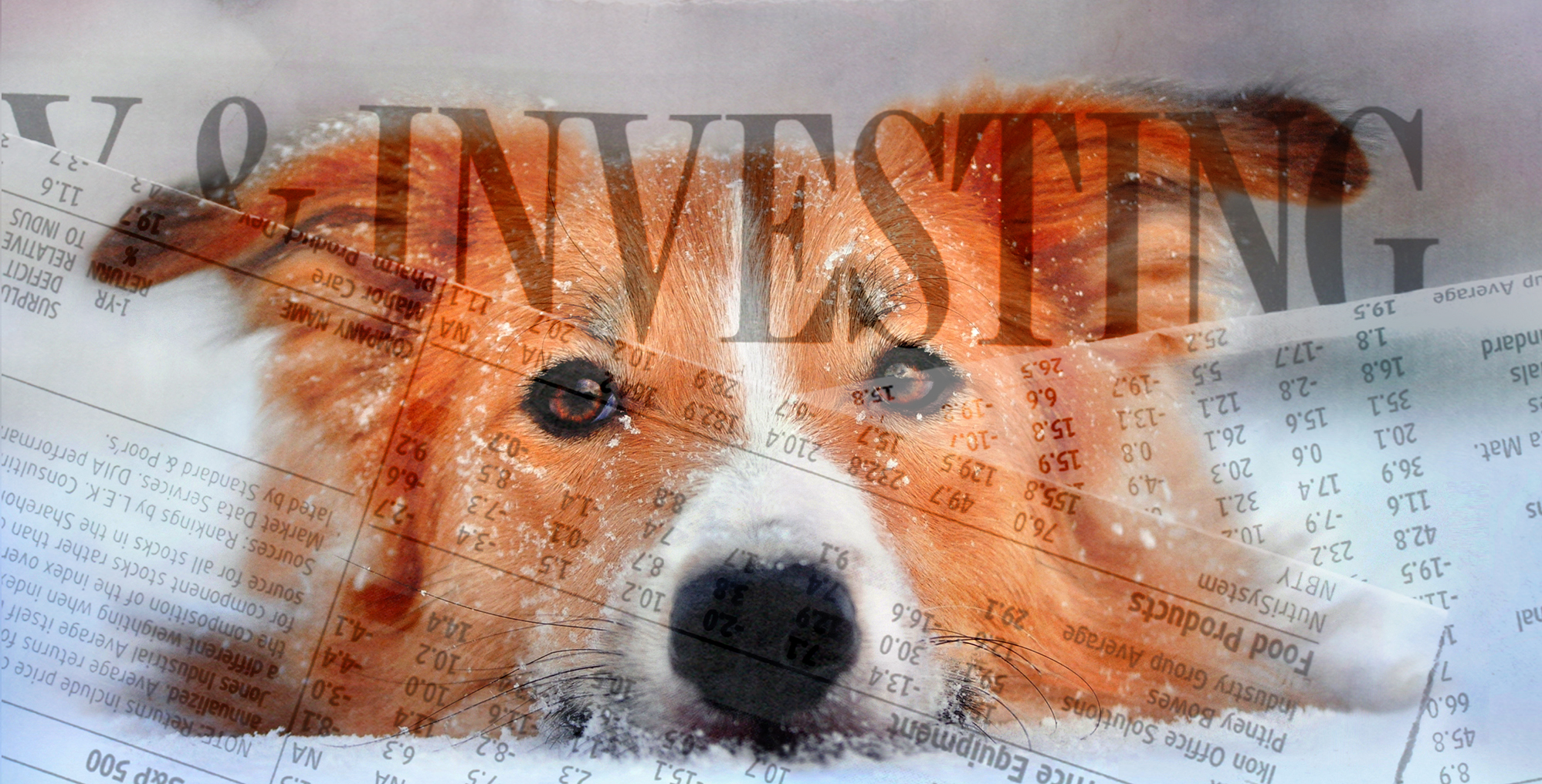 dogs of the dow 2016 dogs of the dow will these be the stocks of 2016 weiss education dogs of the dow 2016 dogs of the dow will these be the stocks of 2016 weiss education